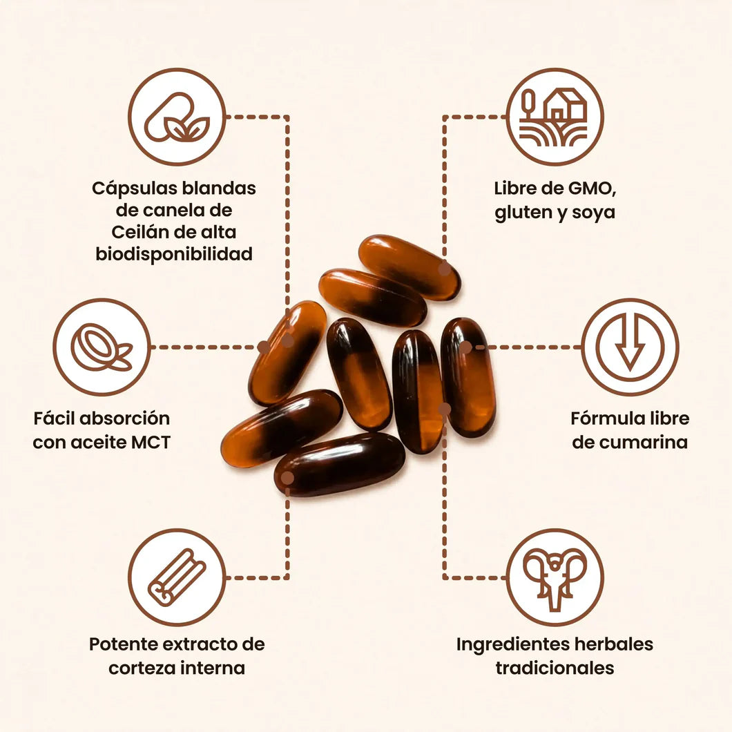 Canela de Ceylon 12:1 — Baja y controla tu azúcar naturalmente OFERTA 2 X 1