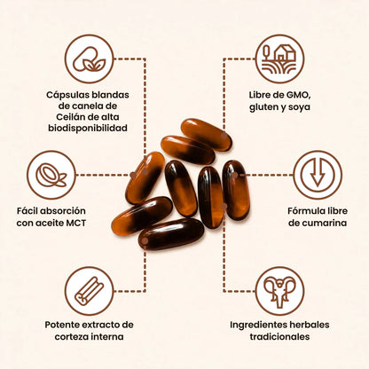 Canela de Ceylon 12:1 — Baja y controla tu azúcar naturalmente OFERTA 2 X 1