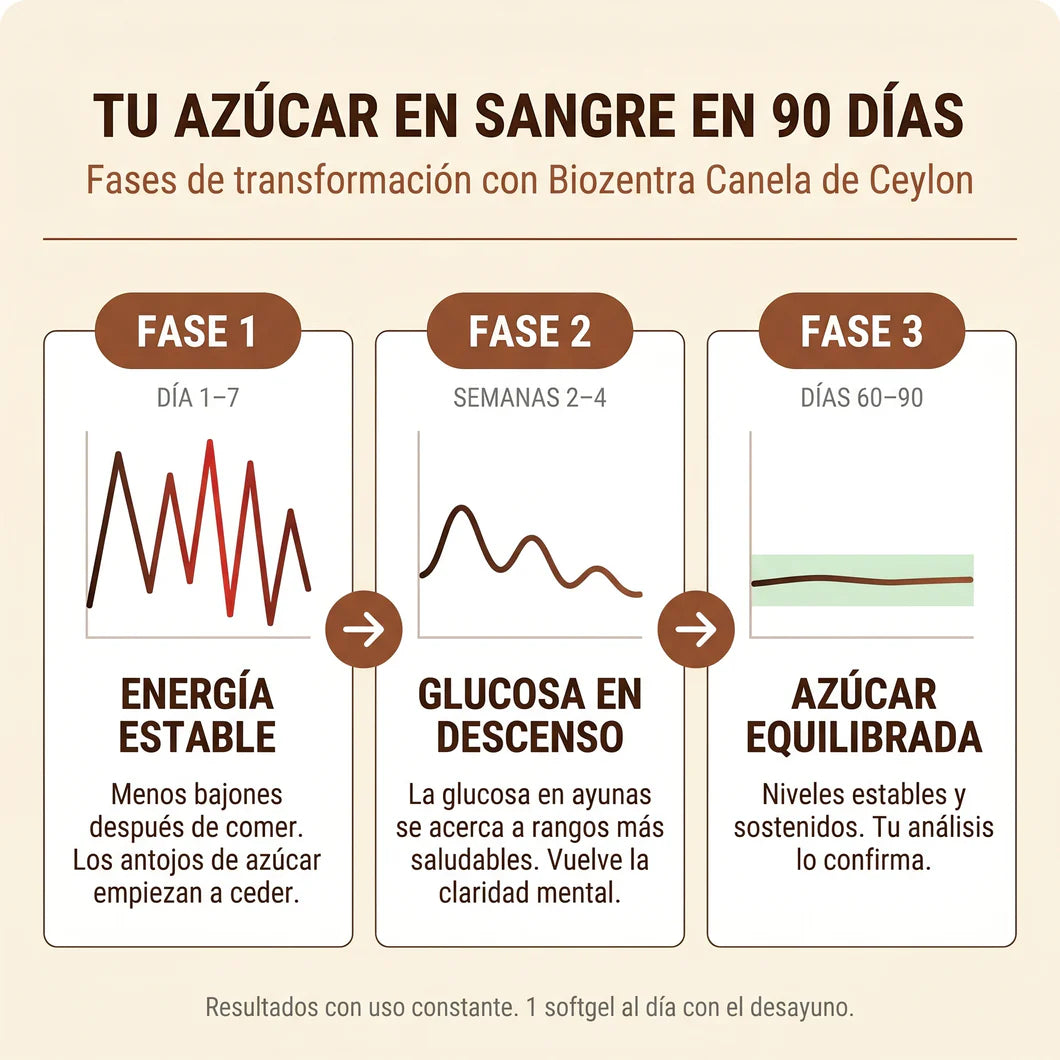 Canela de Ceylon 12:1 — Baja y controla tu azúcar naturalmente OFERTA 2 X 1