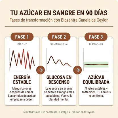 Canela de Ceylon 12:1 — Baja y controla tu azúcar naturalmente OFERTA 2 X 1